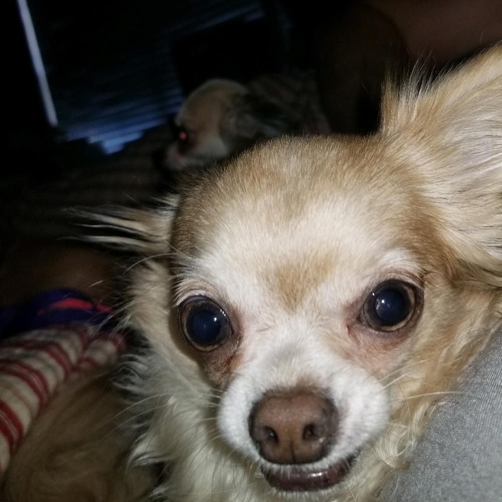 Meet your Posher, Jillian